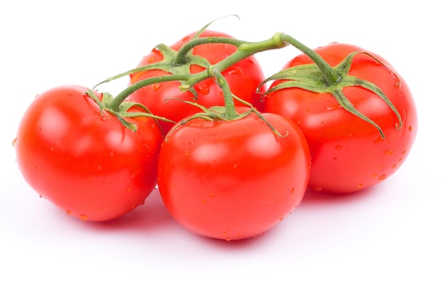 Tomatoes on a white background