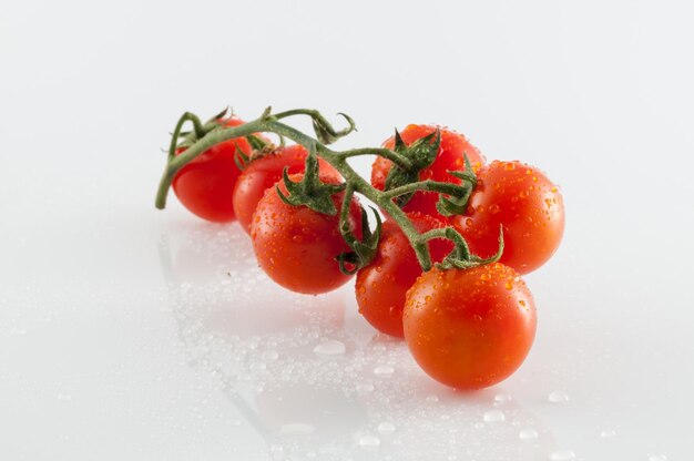 Tomatoes on white background