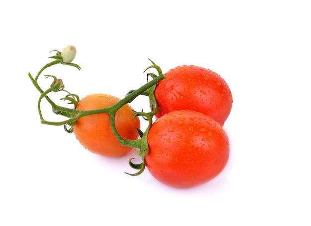 Tomatoes on white