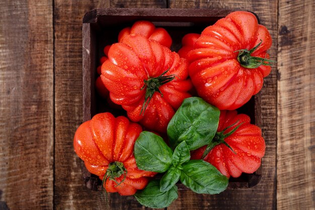 Pomodori con gocce d'acqua di foglie di basilico da vicino