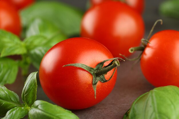 Tomatoes with basil Vegetarian food