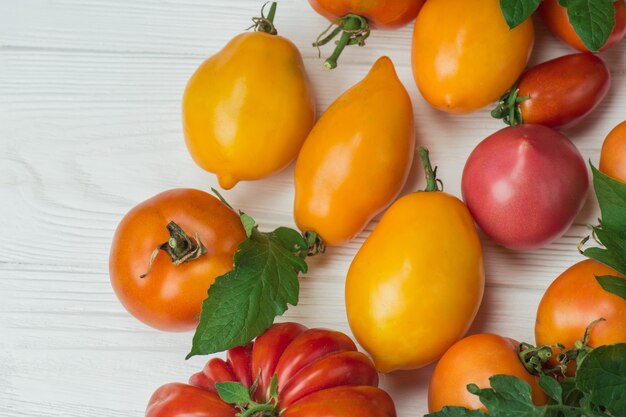 Tomatoes on wooden table. Different colorful tomatoes on wooden table. Organic green, red, yellow, orange tomatoes.