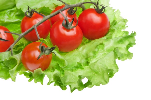 Tomatoes