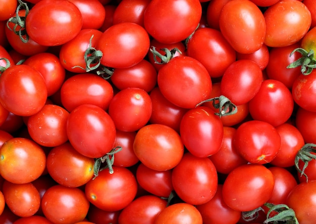 Tomatoes