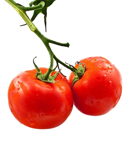 Tomatoes