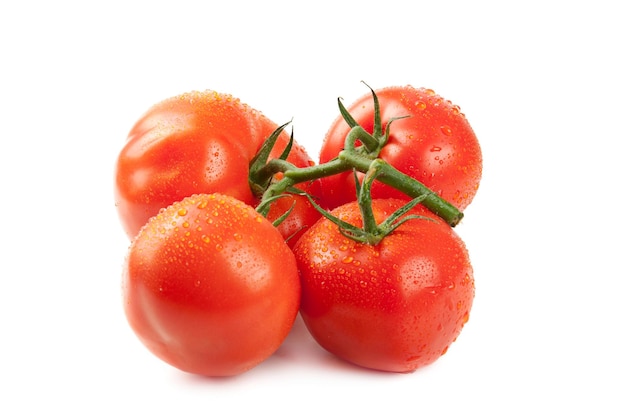 Tomatoes