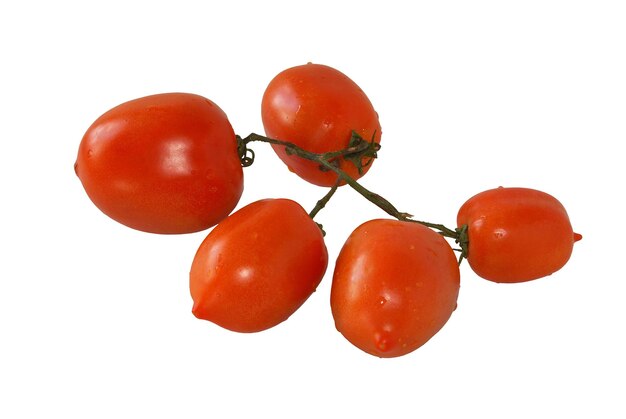 Tomatoes