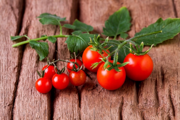 Tomatos in wooden plate on black background