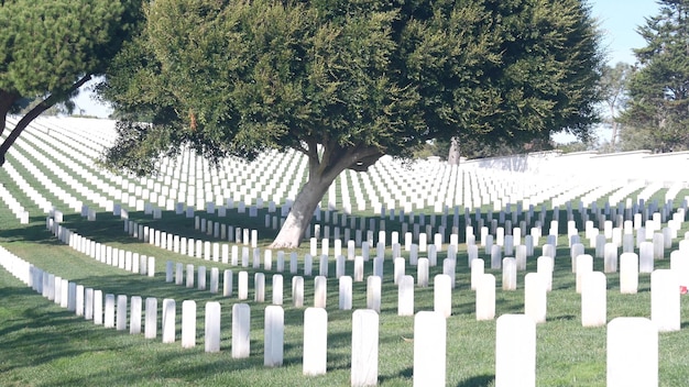 Photo tombstones on american military national memorial cemetery graveyard in usa