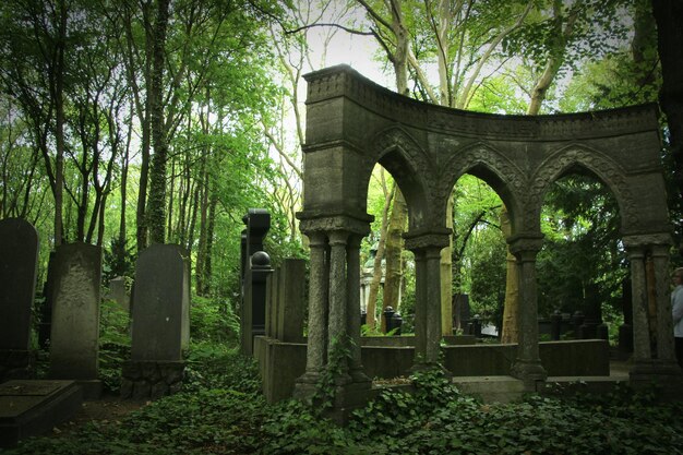 Photo tombstones amidst trees at weissensee cemetery