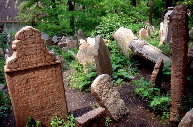 写真 墓地の墓碑