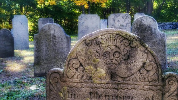 Foto tombe nel cimitero