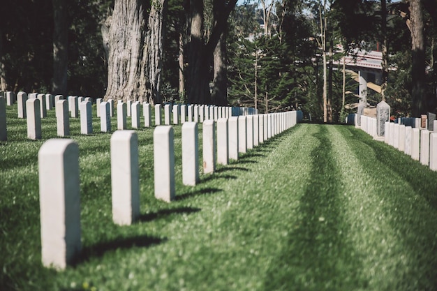 Photo tombstones in cemetery