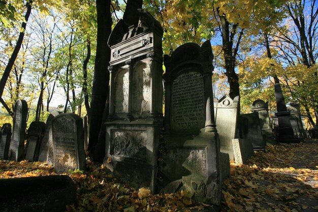 Tombstones on field at cemetery