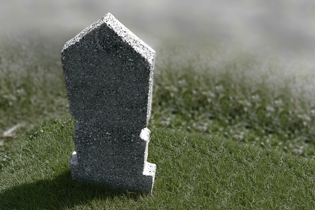 Tombstones on the graveyard on the meadow. Halloween concept