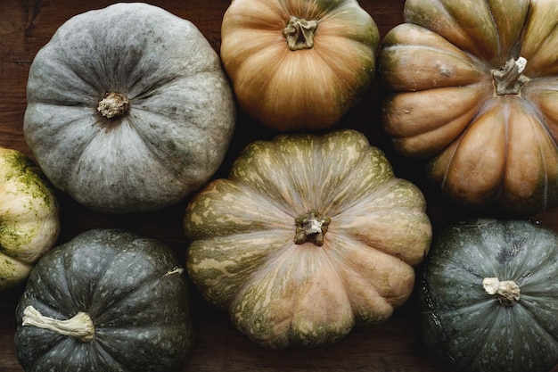 Toned autumn background with pile of pumpkins