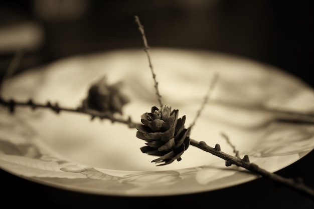 Toned fork in plate monochrome