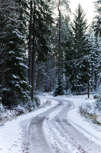 Toneel mening van de wegdekking in sneeuw