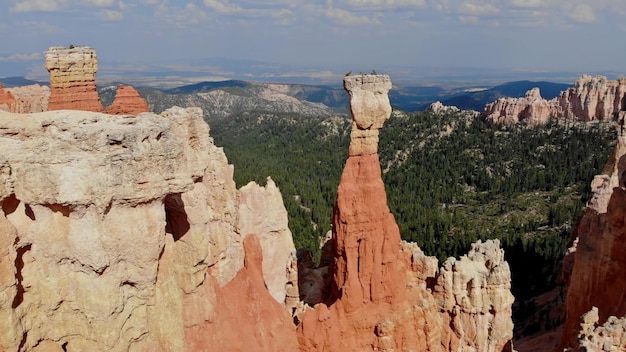 Toneelmening van de natuurlijke vorming van de brugrots in het nationale park van de zioncanion utah de V.S