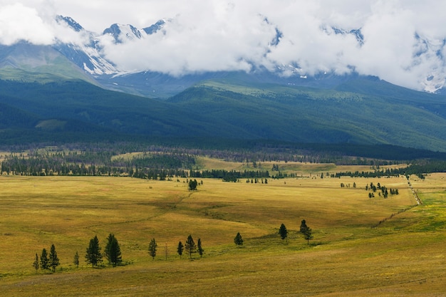 Toneelmening van de snow-covered waaier Noord-Chuya in de Altai-bergen in de zomer, Siberië, Rusland