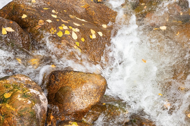 Toneelmeningen van Katun-rivier, grote stenen en gele herfstbladeren in water Altai Republiek Rusland