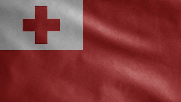 Tongan flag waving in the wind