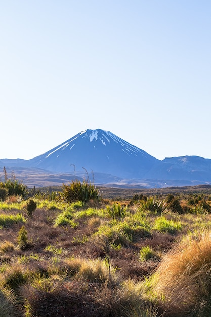 トンガリロ山