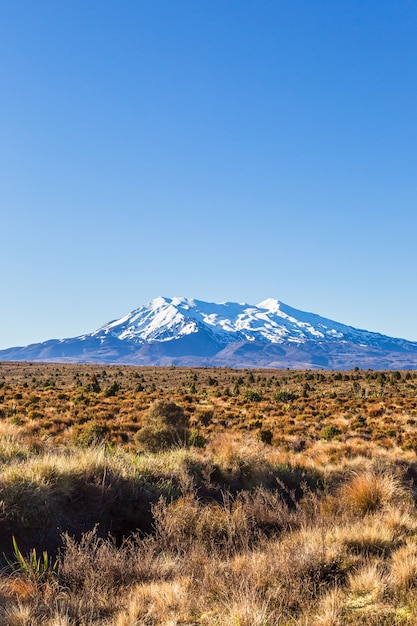 Tongariro National Park