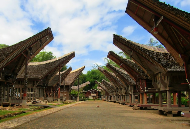 Tongkonan-huizen in Kete Kesu, een dorp in Torajan