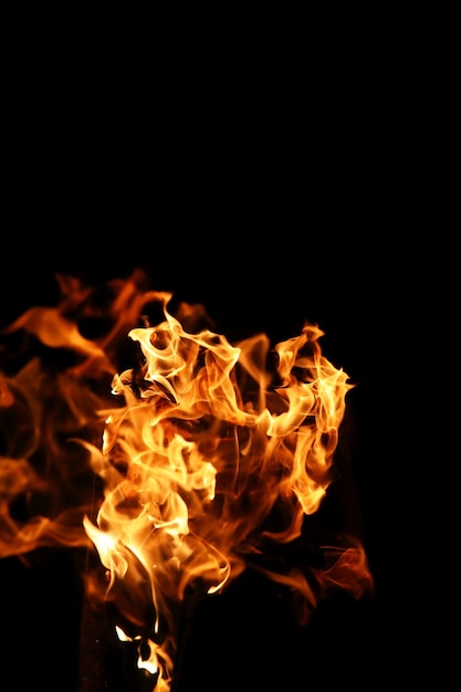燃える薪からのオレンジイエロー色の火の炎の舌