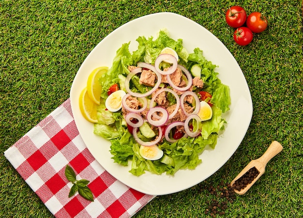 Tonijn salade met sla, cherry tomaten, komkommer en ui op groen gras