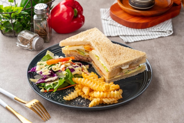 Tonijnsandwich met frietjes en salade.