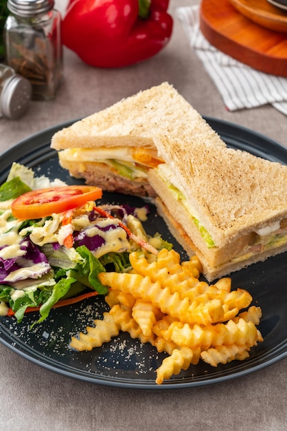 Tonijnsandwich met frietjes en salade.