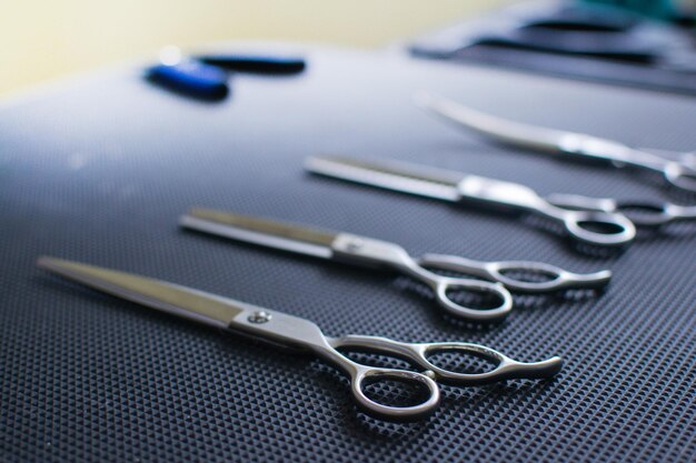 Tool for the groomer on a black background Dog grooming accessories and scissors for cutting animals View from the side Stock photo