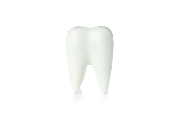 흰색 배경에 고립 된 치아 관리 개념 치아