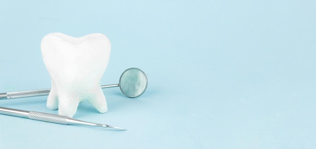 写真 ハート型の歯の模型と歯科医のプロのツール医療機器の歯は健康になります
