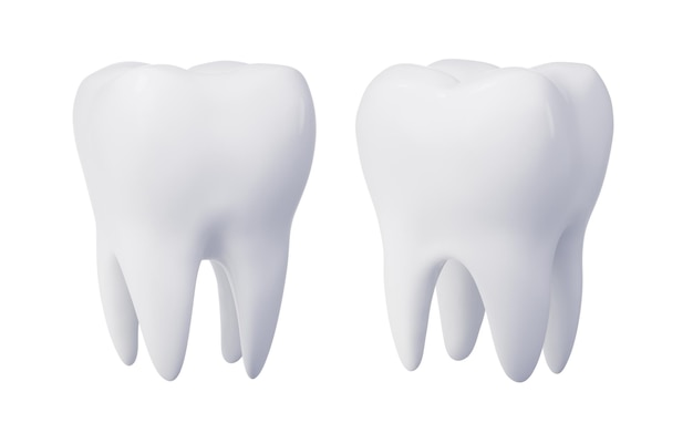 사진 치아와 치아 건강 개념 3d 렌더링 디지털 드로잉
