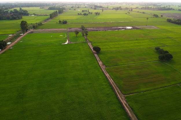 Top aerial panoramic view of green fields.Landscape with drone.