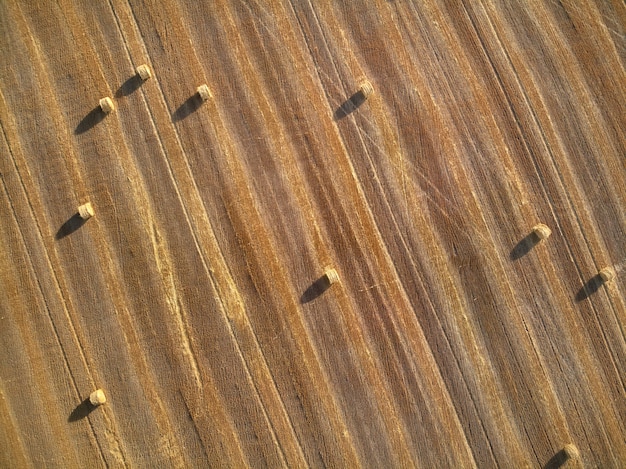 Top aerial view of round bales of straw on the field after harvest