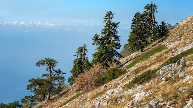그리스의 Agion Oros (Athos Mountain) 꼭대기. 산 풍경과 고요한 자연.