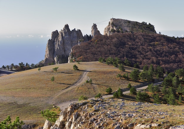 The top of AIPetri in the morning