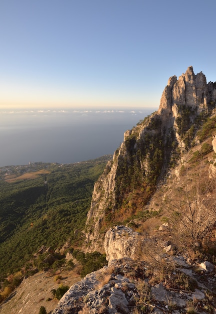 Top of AIPetri in pink