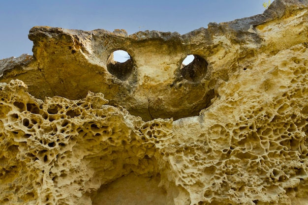 Cima della scogliera a forma di volto sorridente con occhi e bocca texture di sfondo calcareo stagionato il fondo del mare antico sfondo astratto