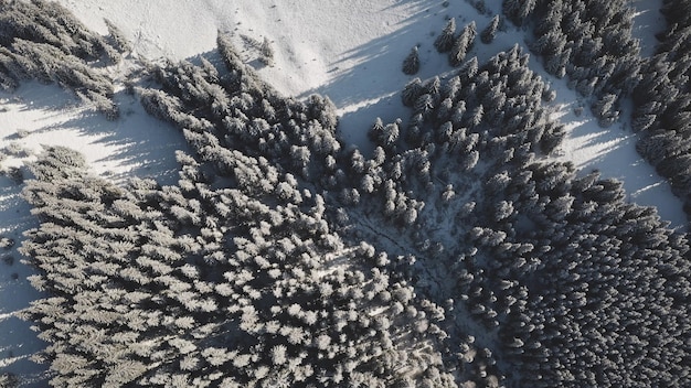 写真 雪の木の森の上の山の村の小屋 冬の誰もいない自然の風景