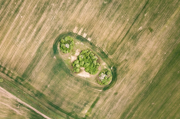 Top down aerial view of green field with canopies of trees in the middle.