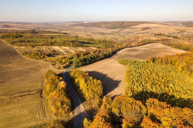 Top down aerial view of green and yellow canopies in autumn forest with many fresh trees