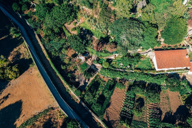 Cascais Portugal의 Ribeira das Vinhas에서 하이킹 경로의 하향식 공중 전망