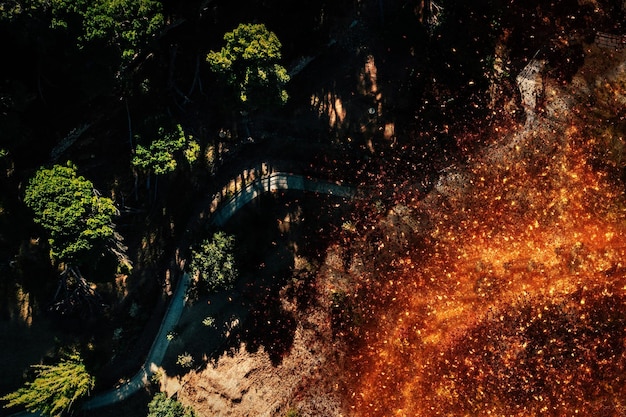 写真 森の中の小道の横にある低木や木々の森林火災を上から見下ろす航空写真