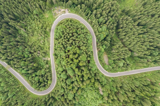 Top down aerial view of winding forest road in green mountain spruce woods.