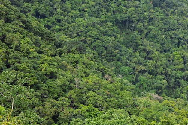 Photo top down view of mountain hiking trail in hong kong